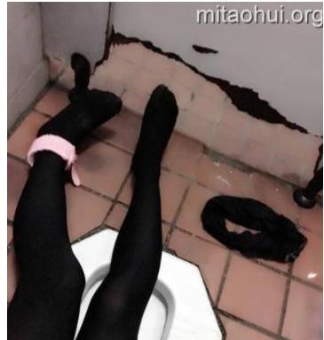 最新清纯自述猫奴丫四套作业合集