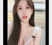 精选主播雪雪直播：身材火辣木瓜颜值在贤娆2V、3G资源推荐指数高