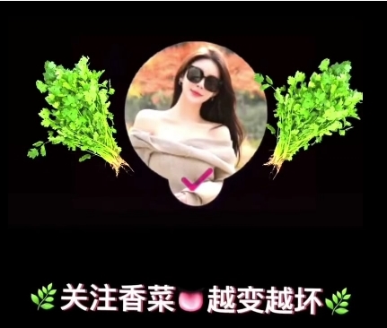 海归大师王者归来的x学先生