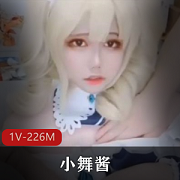 小舞酱资源合集，226MB视频数量，百度内部盘下载