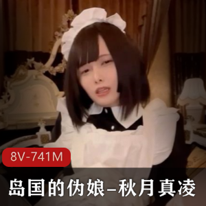 秋月真凌玩具作品展示：8V、741M，影响体验
