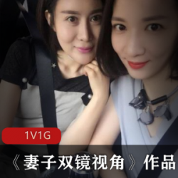 美女妻子双镜视角作品