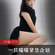 喵喵梓高颜值视频合集21.1G，清纯JK御姐可爱属性全收录