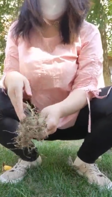 风情万种熟女柏欣彤广场舞合集：风情万种，收藏120百度ED2K