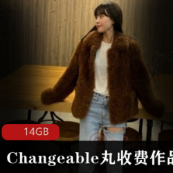 Changeable丸高端定制微博丝袜美腿视频合集