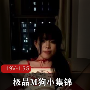 优质M狗小集锦超热门合集19V1.5G，作者自拍，耐看女主动人！
