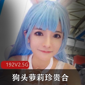 人气COSER微博丝袜女神狗头萝莉珍贵合集192V2.5G，直播漏点诱惑