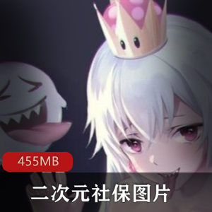 私人收藏二次元社保图片合集455MB，精彩内容满足绅士需求