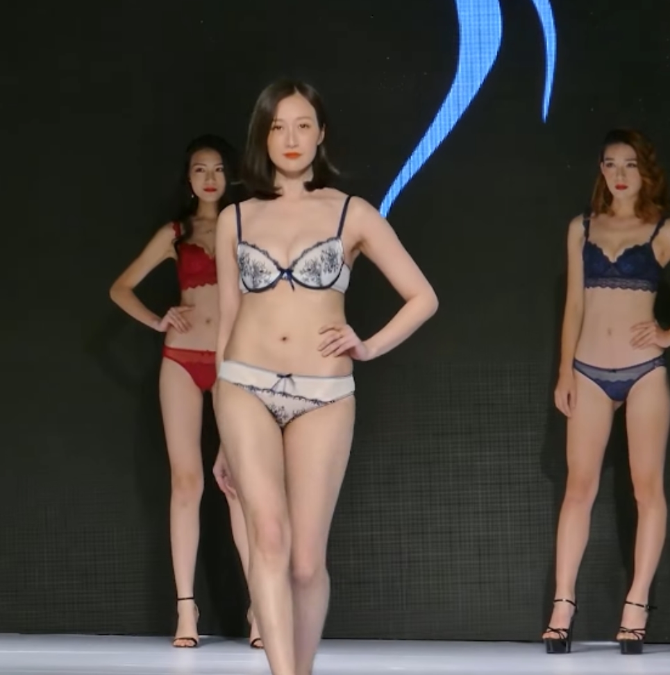 云盘内衣秀超诱人视频合集1202部441G