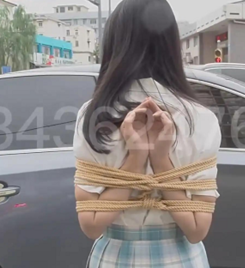 长颜草工作室194G郊狼电击强高驷马活塞机71部超量