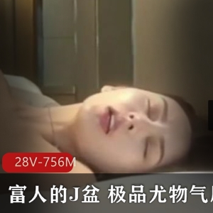 李露超S短视频合集28部756M珍藏版展示